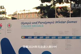 冬奥元素“点亮”米兰圣诞树图片