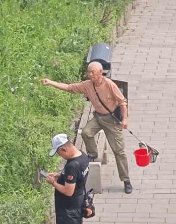 蝴蝶为啥追着纸片飞？你以为它傻，其实它心动了！图片