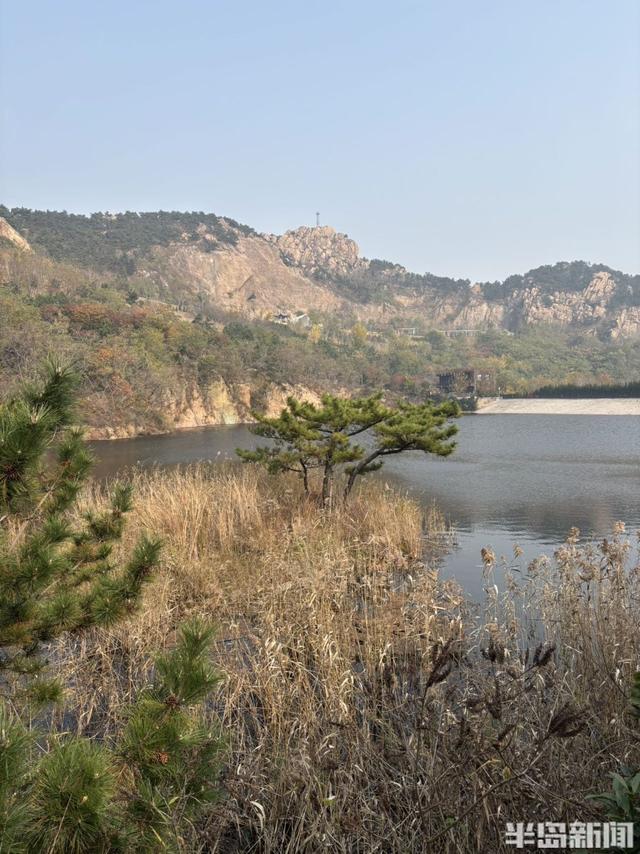 浮山南麓，藏着青岛最美冬日