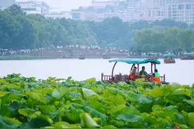 浙江今天入梅！今年梅姑娘脾气怎样，如何应对“长蘑菇”的日常？图片