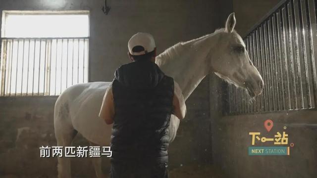 包邮区小城火遍全网！上海人爱去打卡这里的“三件套”