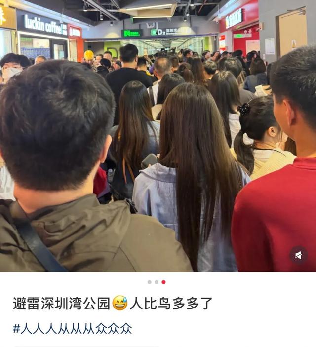 “春运都没这么多人”！深圳知名景区刷屏，网友纷纷“劝退”！
