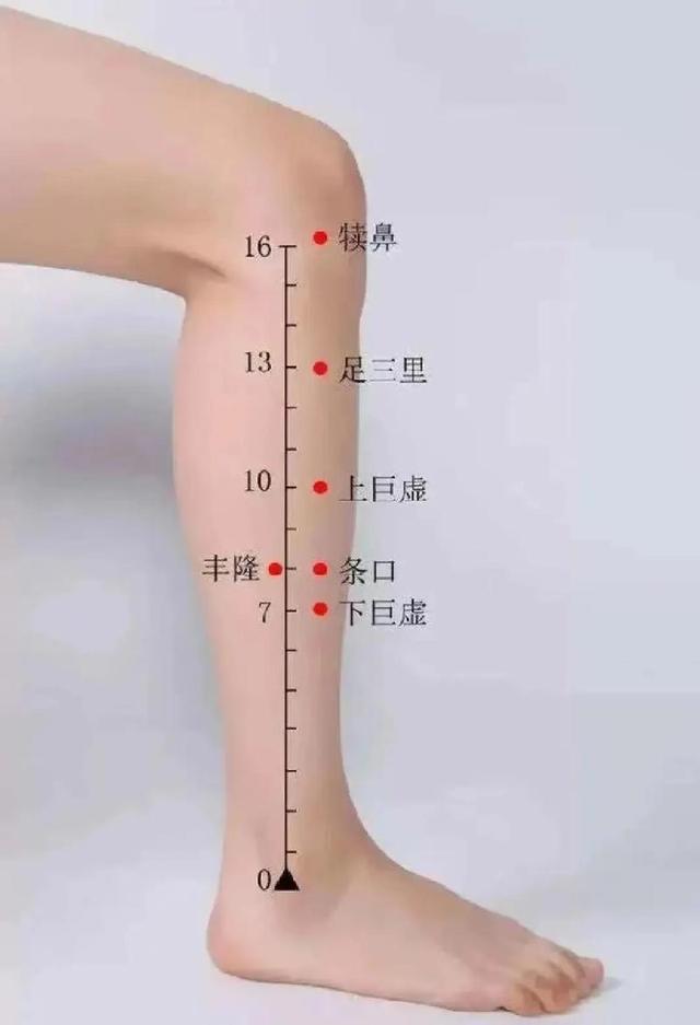 健康科普｜惊蛰节气中医养生指南
