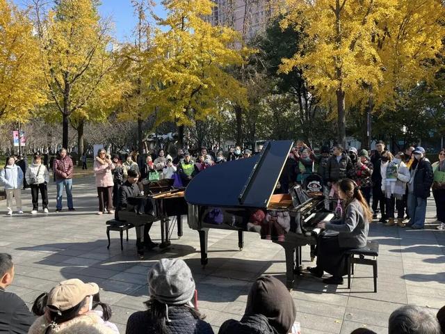 金色长廊加载中！静安这条道路银杏渐入佳境↑