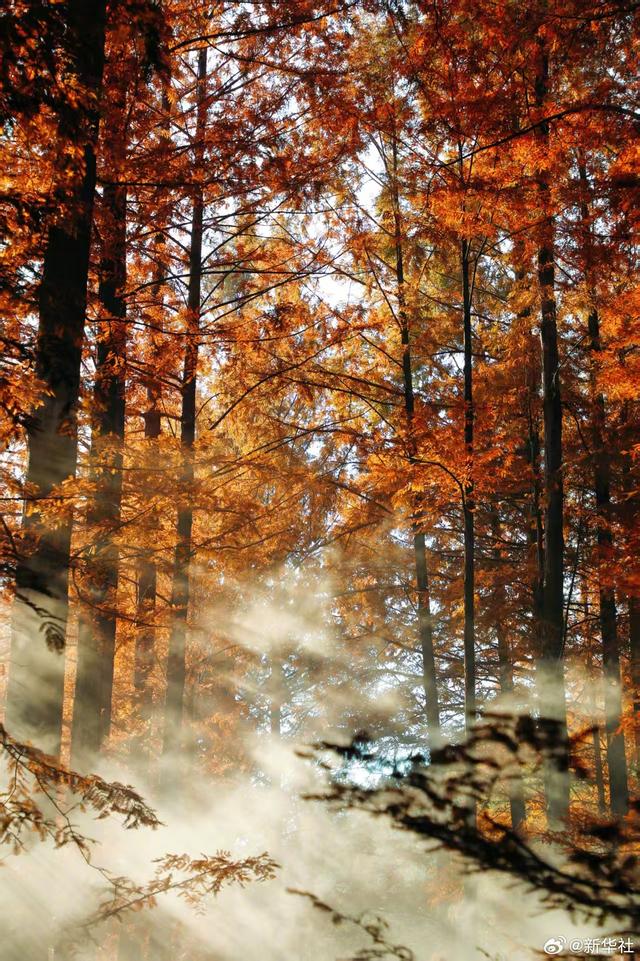 收藏！秋天是写在古都的诗篇