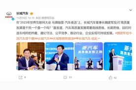“高质量发展是干死一个是一个吗？”长城汽车魏建军称行业要有底线思维 网友：说谁呢？图片