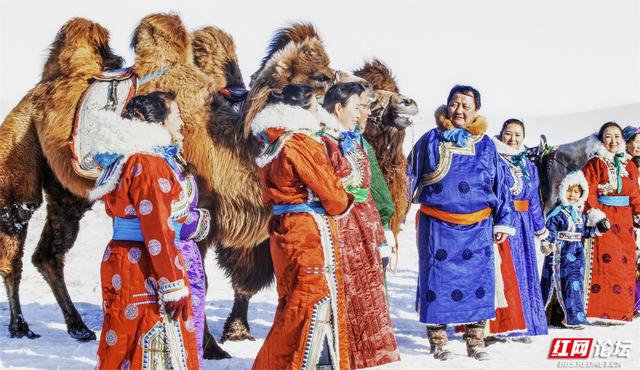 跟着网友游内蒙古丨雪线之上，生活如歌