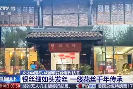 文化中国行丨非遗银花丝传承千年 看传统技艺如何做出国潮风图片