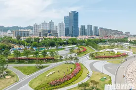 月季花绽放海滨，海之恋公园美翻了！图片