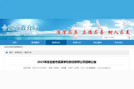 298名！合肥市直属学校新任教师公开招聘图片