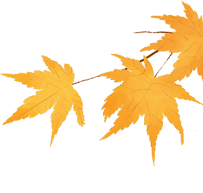 摘甜橙、赏红枫……龙岩初冬玩法上新