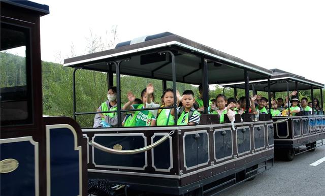 立秋时节文旅兴 相思谷里客如潮