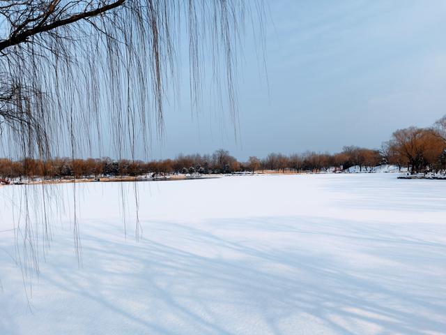 喜迎2026第一场雪，圆明园美出新高度