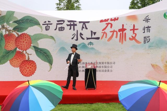 沪郊枫泾，这片水上荔枝林红了，盛邀市民前来现摘现吃！持续到8月1日