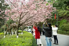 重报观察｜赏春踏春尝春 “春日经济”激活重庆消费市场潜力图片