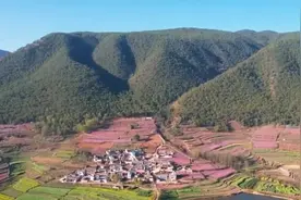 闻香赏花春已至，一起感受生机盎然的祖国大美河山图片
