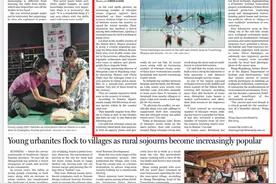 中国日报看山西｜白天鹅迁徙山西越冬 引发观鸟热潮图片