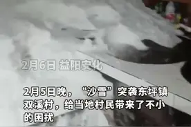安化东坪镇：村民齐心协力清除积雪保民安图片