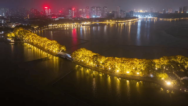 江西的这些“赏桐”胜地，治愈又出片！