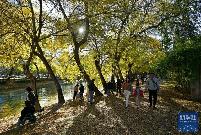 秋声渐杳 斑斓成诗