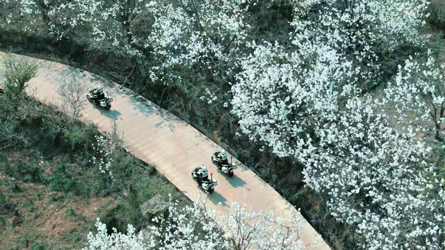 我们红河“好在的很”！来就给你安排旅游搭子