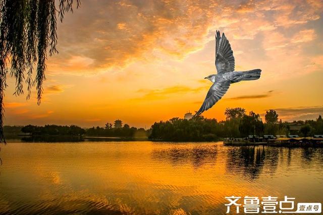 壹点号·秀山东|美丽泉城处处如画，多情山水时时似诗