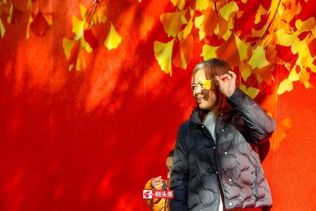 人从众！荆州这条街上“长”满了人……