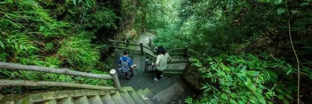 处暑遇“秋老虎”？来乐山踏入26℃的天然空调房！