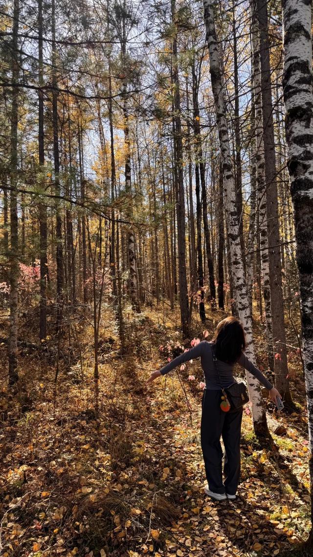 假期闲记（二）