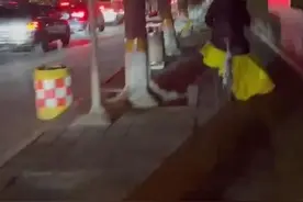 谭维维回应曾骑自行车赶春晚：那天路上特别堵图片