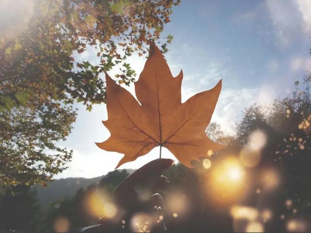 冉冉秋光色，今日又重阳！快用一场登高赏景晒一晒潮湿的心情~