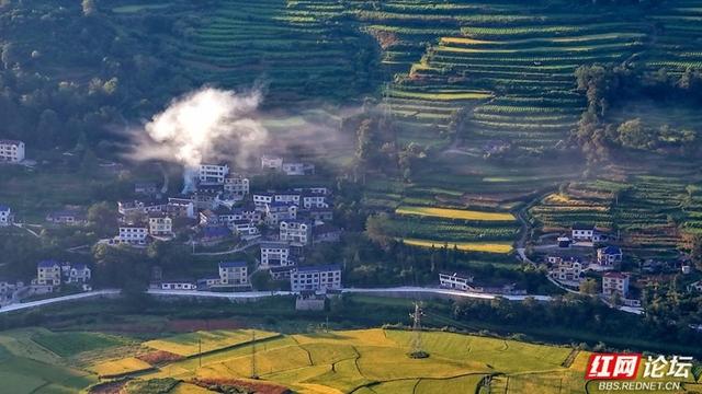 青山碧水伴稻浪，这里是诗意的湘西小镇