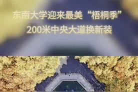 东南大学最美200米梧桐大道，走出200多位两院院士图片