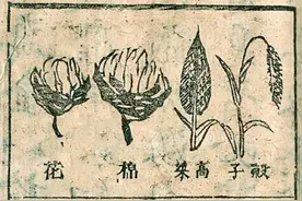 图文相映释万象图片