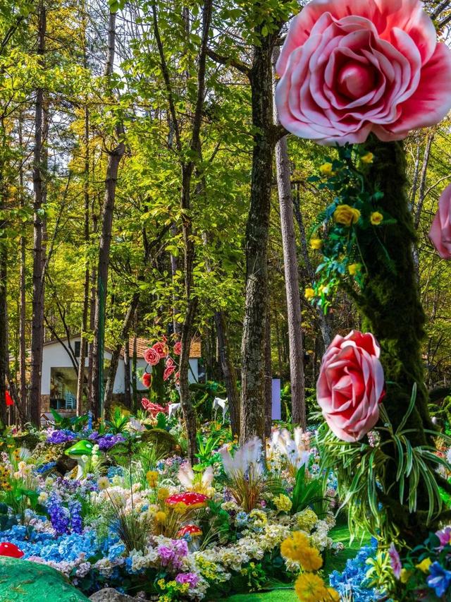 免门票福利！白云山绝美秋色正在上映→