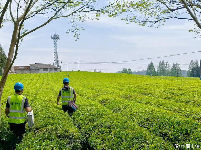 普遍服务 | “满格网”点亮贵州山水！播州太阳坪、湄潭茶海告别通信盲区焕新生