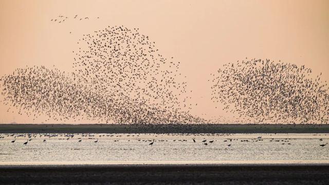 元旦去哪儿？来江西，赴一场候鸟之约