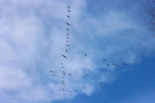 绝美！北京“蓝调”冰瀑奇观，惊艳亮相 | 周末京郊微度假