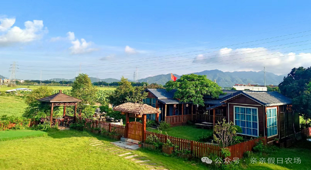 三水的秋天藏在这里！7个必去的研学打卡点，遛娃、学习、赏秋景全不误！