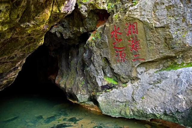 千年银杏韵，金黄满地诗，金色海洋游玩攻略来了！