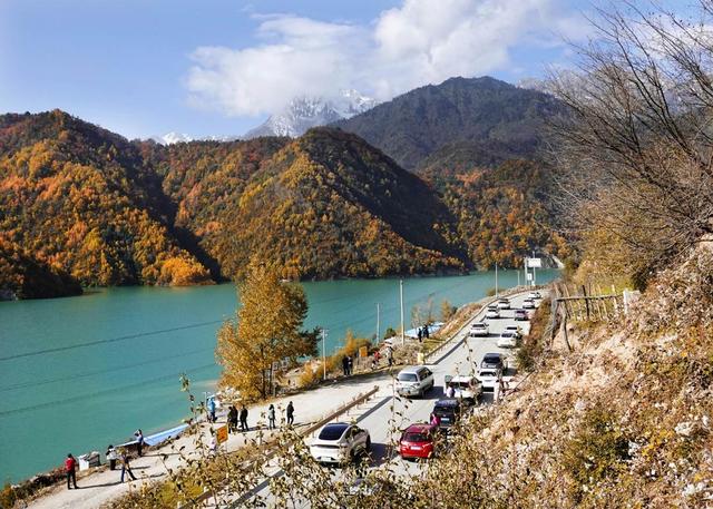 四川平武：绝美彩林迎客流高峰 “快旅慢游”成自驾热潮