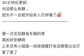 静音车厢靠“纯人工”闭麦？12306：若喧哗可能被引导带离图片
