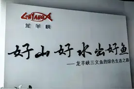 高原上的绿色渔业，5G+淡水三文鱼生态养殖打开新思路图片
