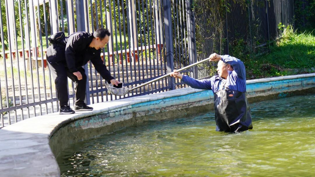 洛阳，你暖到我了！