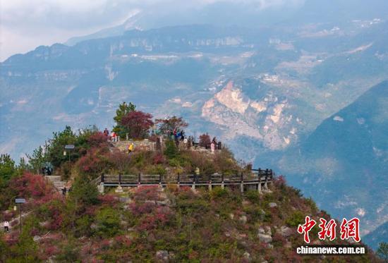 迎来最佳观赏期，长江巫峡两岸红叶美如画