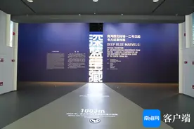 国庆假期，中国（海南）南海博物馆“深蓝宝藏”展览受追捧图片