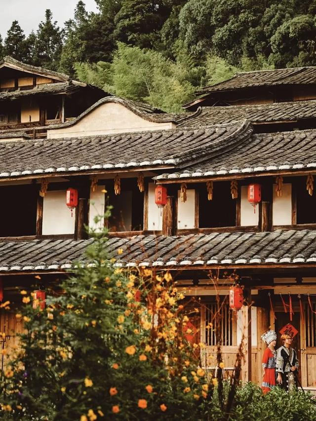 收藏！秋日限定“桂峰晒秋”全攻略，解锁秋日氛围感打卡新方式
