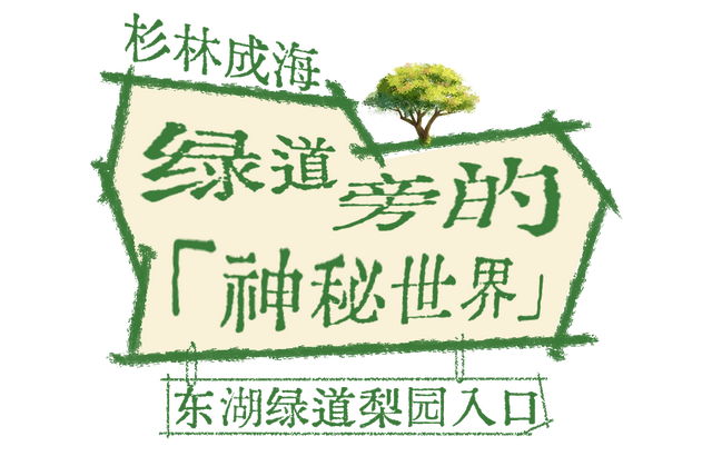 人少景美不绕路，东湖秋日彩蛋上新