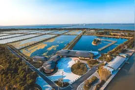 调研手记｜以产业振兴“破题”，写好乡村振兴的“罗泾答卷”图片