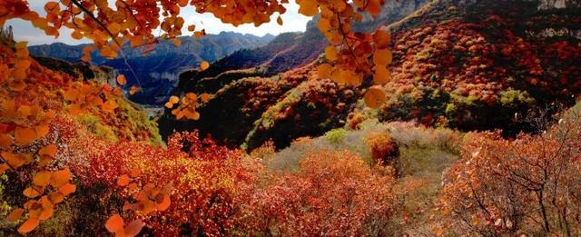 周末天气晴好，徒步去→